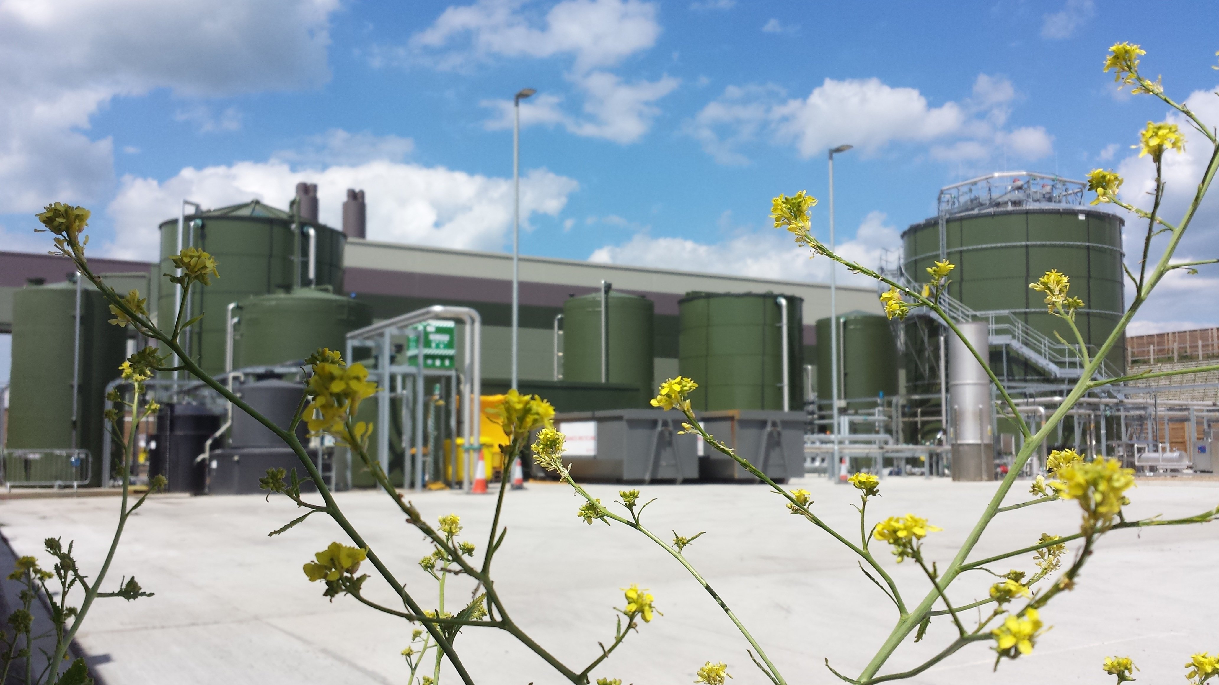 Anaerobic Water Treatment and Biogas Production: Turning Waste into Value