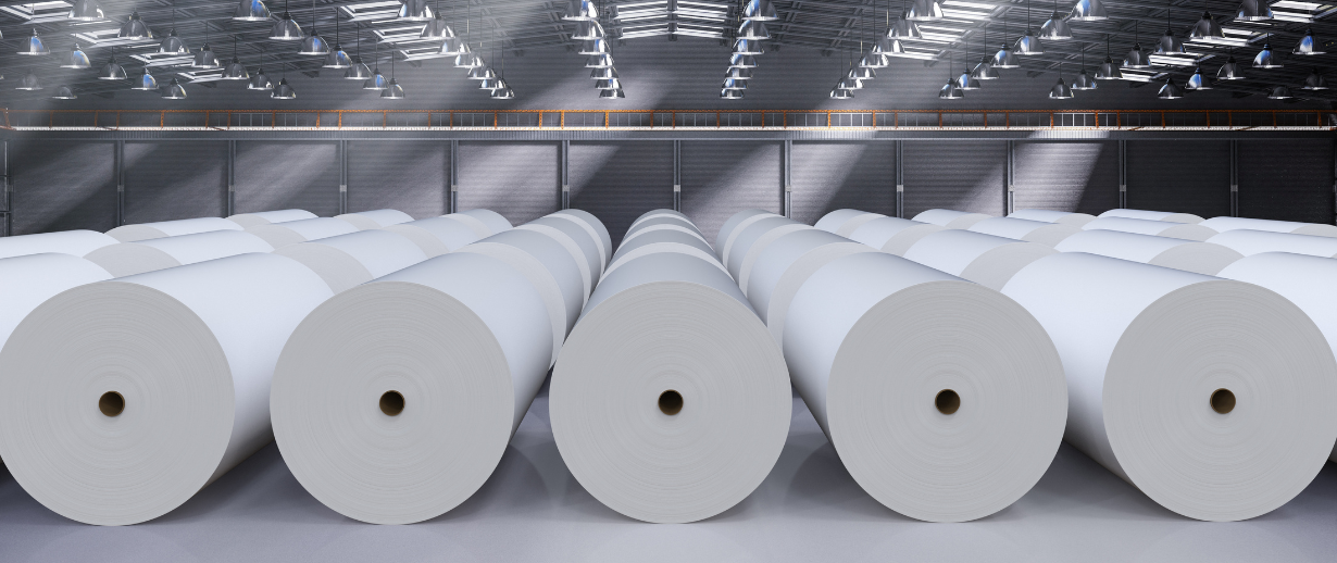 The environmental challenges for the pulp and paper industry