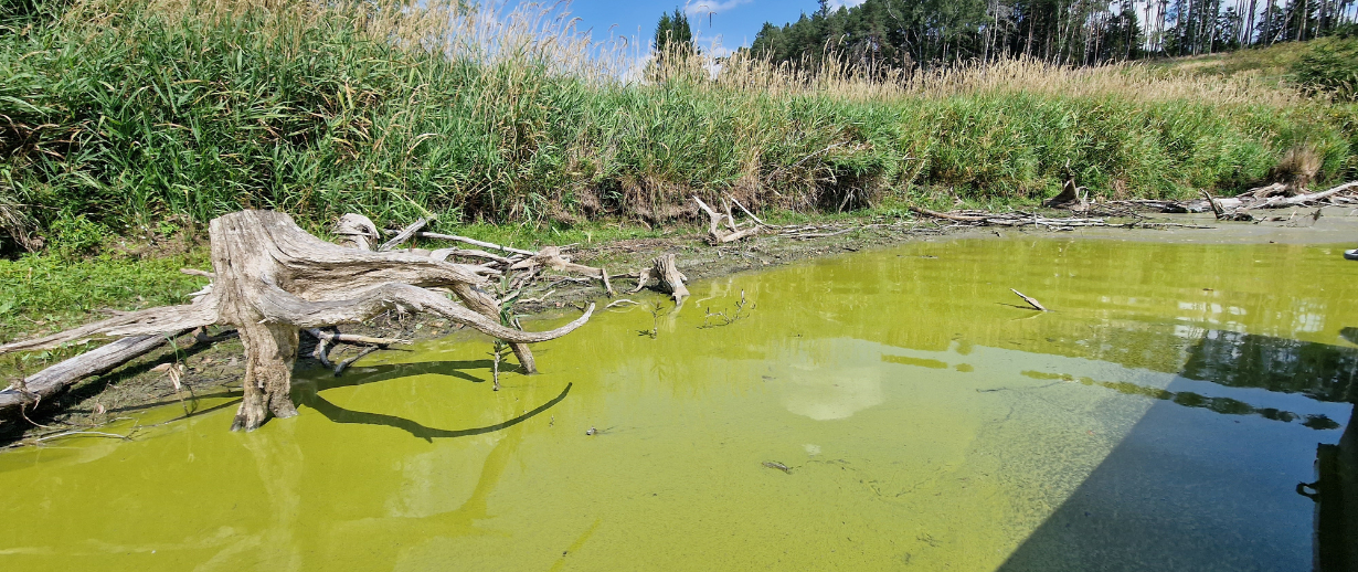 UK Phosphorus Removal in 2026 - AMP8 & Regulations