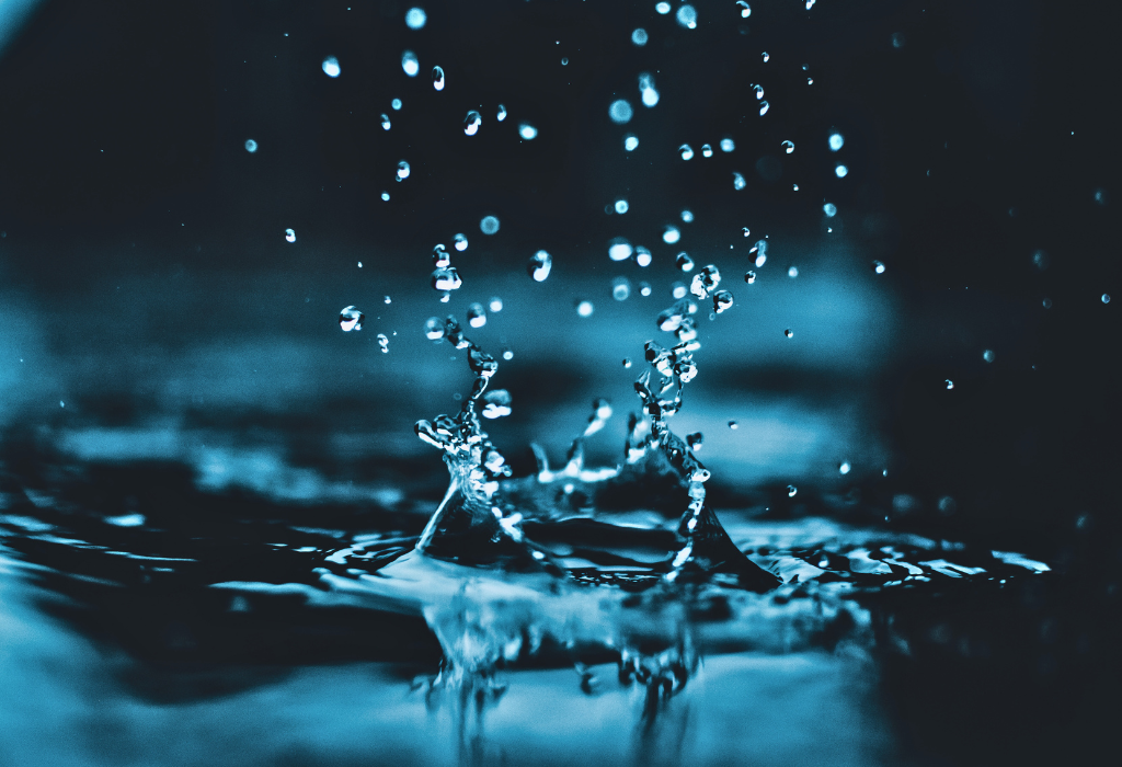 Wirkstoffe aus Arzneimitteln: Was sie sind und wie man sie aus  dem Abwasser entfernt